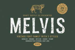 Discovering the Melvis Family: A Vintage Typeface for Modern Creativity